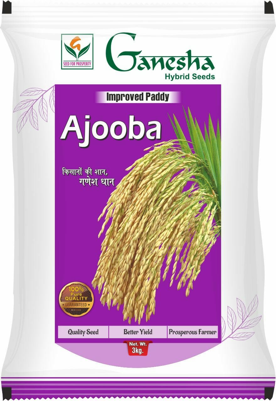 Ajooba